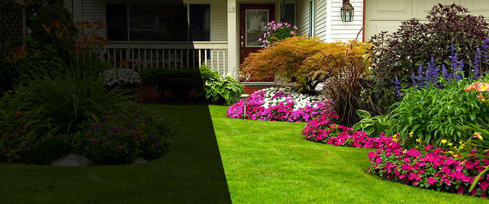 Loganville Landscapers
