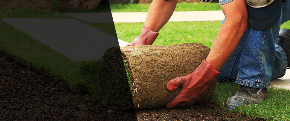Loganville Landscapers
